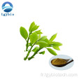 NATUREL 98% TEA POLYPHENOL GREEN THE EXTRAIT